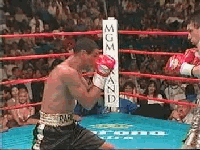 2239Rafael_clip.gif