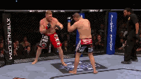 [UFCռ񶷴_clip1.gif