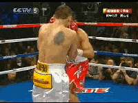 20101212-1_clip4.gif