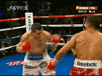 20101212-1_clip3.gif
