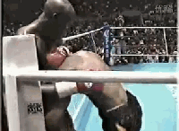 ֻս˹ְҵ_clip1.gif