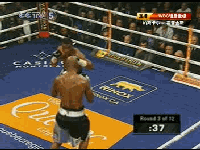 20101219-1_clip2.gif