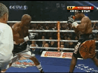 20101219-1_clip1.gif