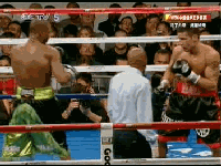 20101226-1_clip2.gif