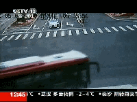 20110101-1_clip.gif
