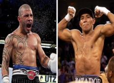 miguel-cotto-vs-mayorga1-Copy.jpg