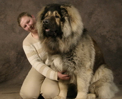 Img259988121.jpg