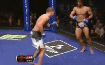 2986afafc97a96827dd92ac2.gif