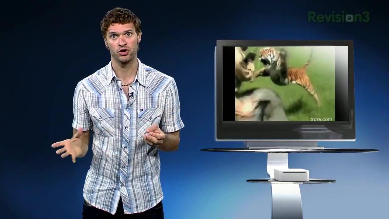 Crazy Tiger Attack MUST SEE VIDEO_20110307_194523.jpg
