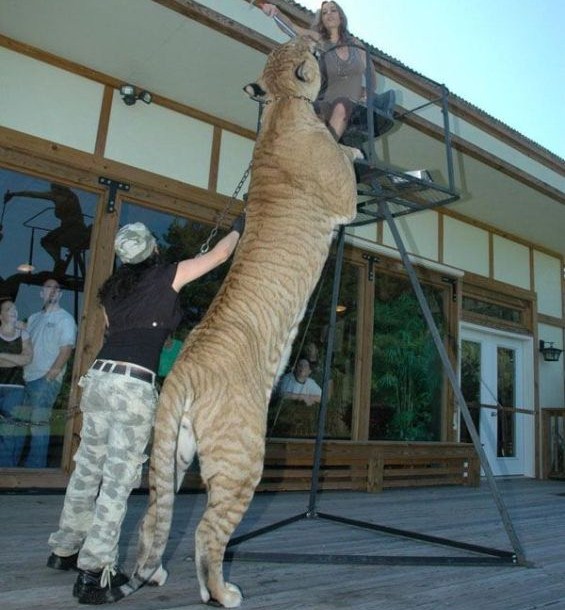 _Best_Amazing_Moments__3.jpg
