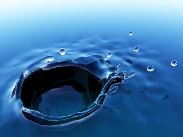 1113001_conew1.jpg