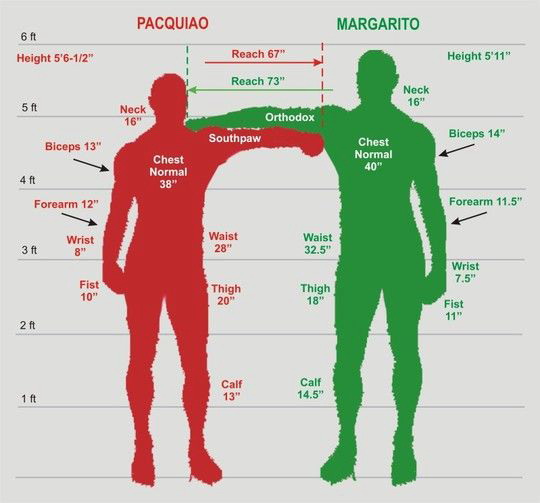 boxingbody3_2.JPG