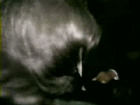Beyond The_clip.gif