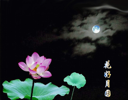 067d27aecf5a6bff7dd92a6c.gif