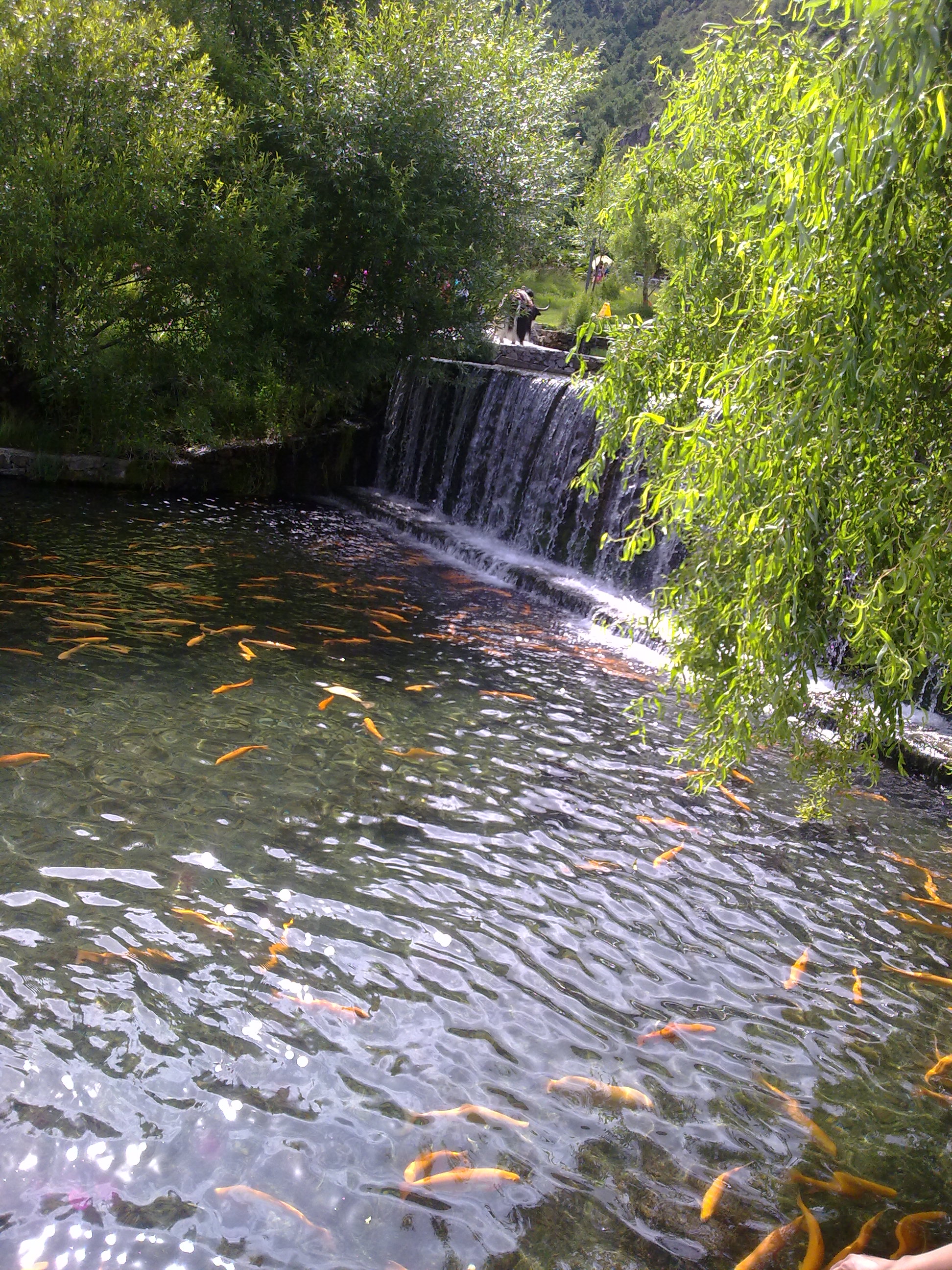 20110706789.jpg