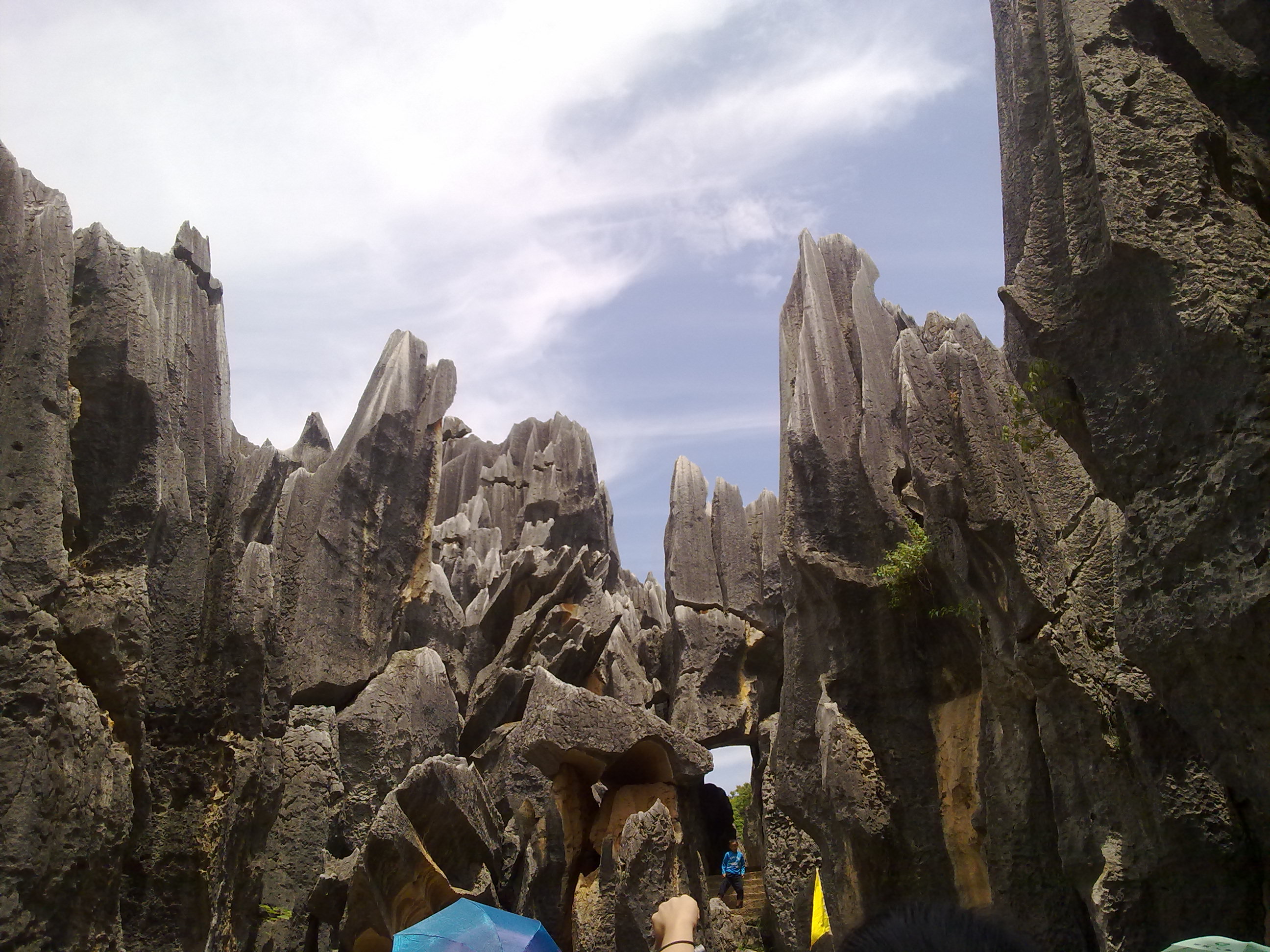 20110708982.jpg