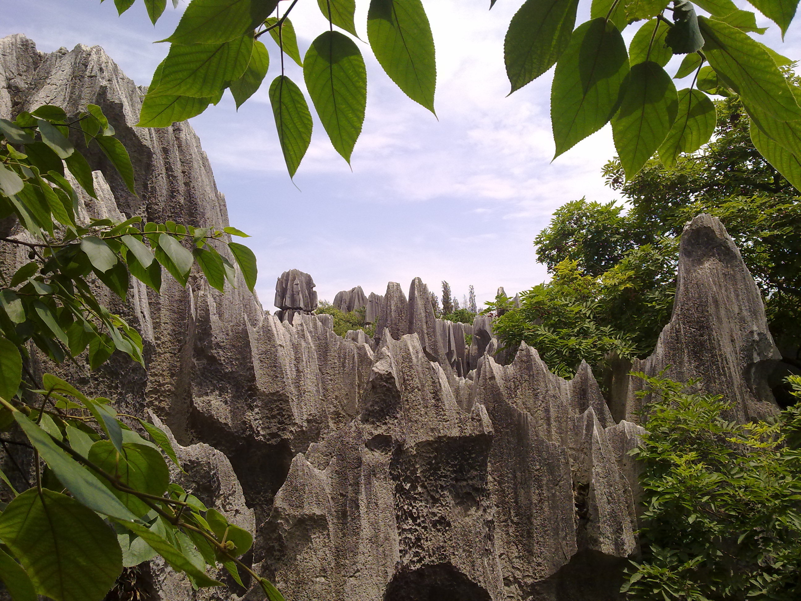 20110708987.jpg