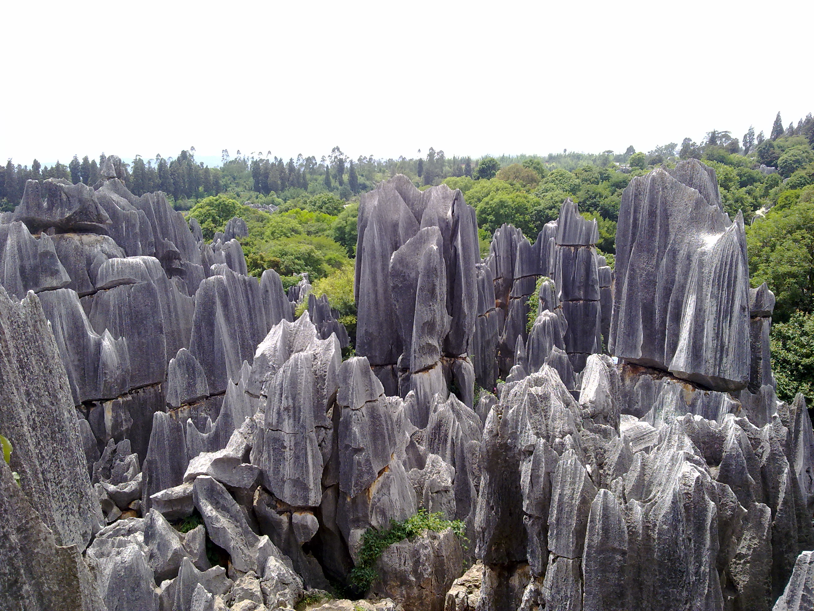 20110708991.jpg