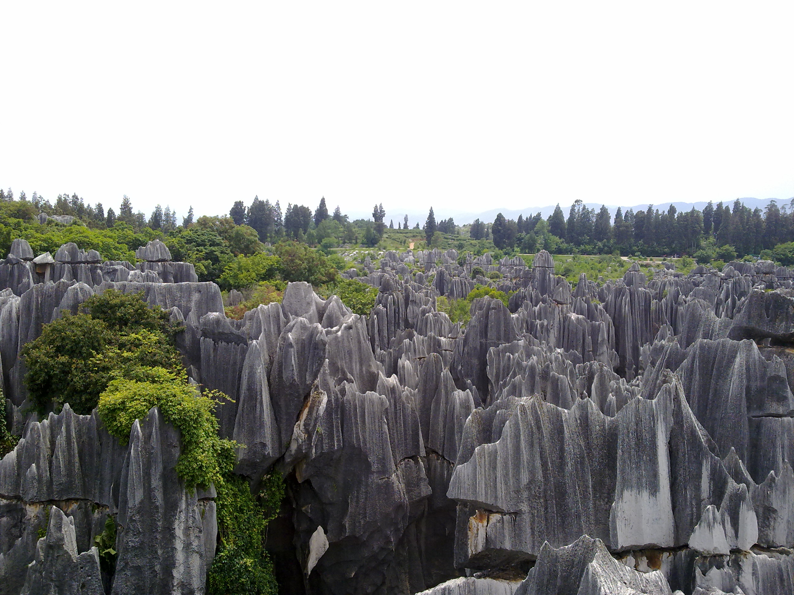 20110708992.jpg