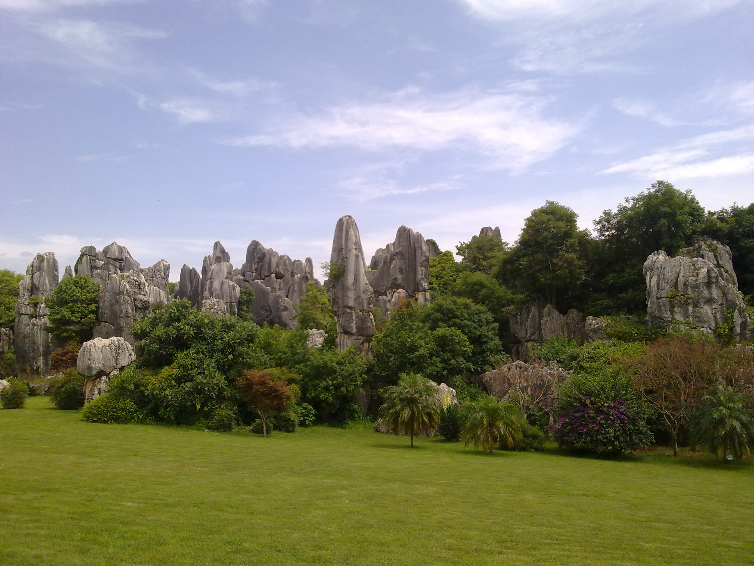 201107081001.jpg