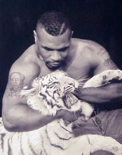 528tysontiger.jpg