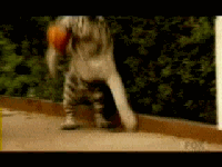 Beyond The_clip5.gif