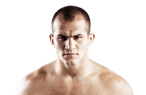 Junior_Dos_Santos_500x325.png