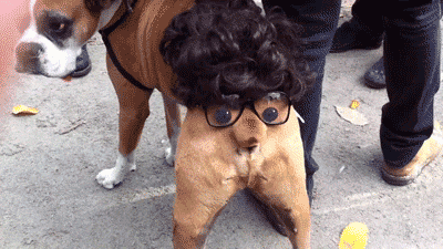 6.gif