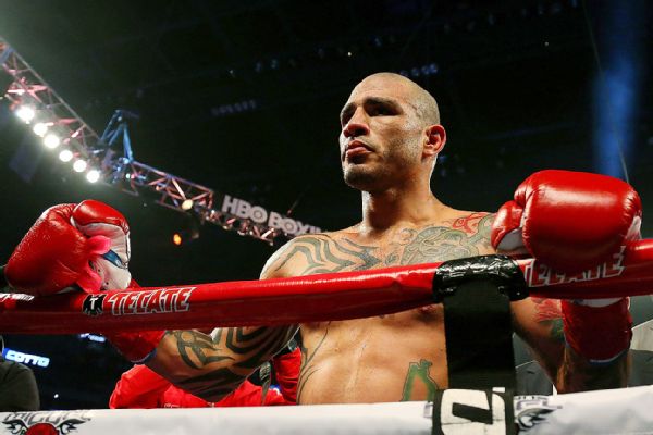 box_g_cottom_600x400.jpg