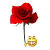 WU3`14XVY)[D)_Q5X~RPR7F.gif