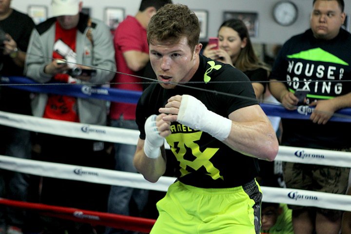 canelo alvarez (9)_1.jpg