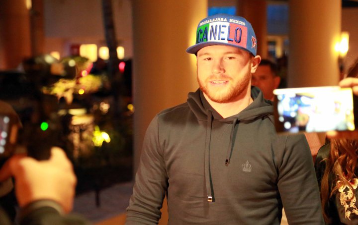 canelo (2)_1.jpg
