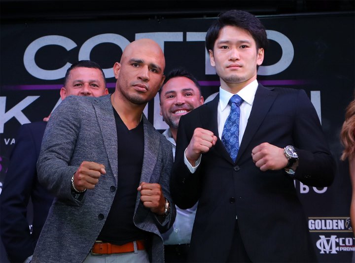 cotto-kamegai (7).jpg