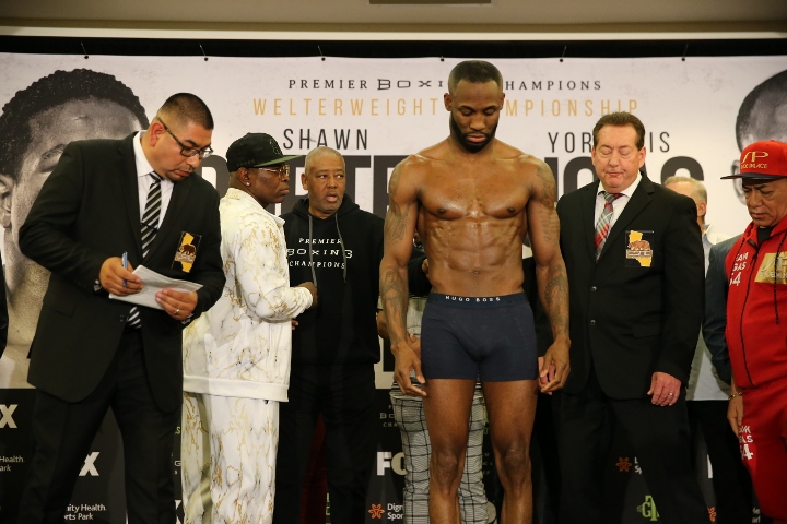 bivol-smith (2)_1.jpg