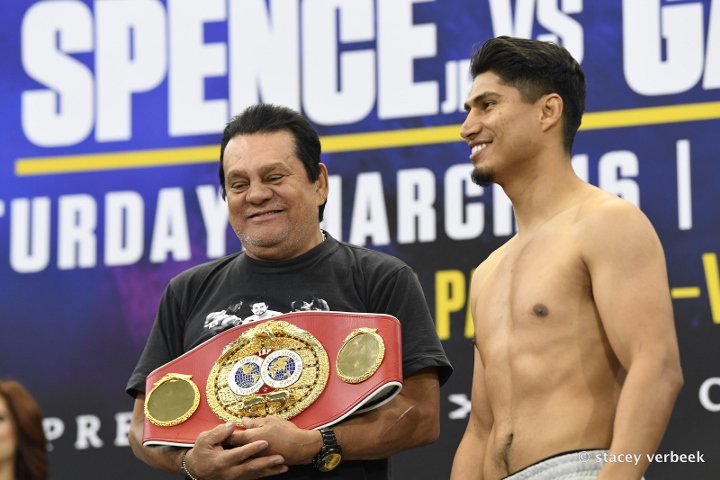 bivol-smith (4)_1.jpg