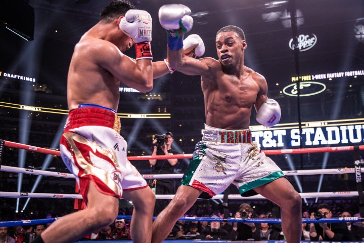 bivol-smith (1)_1.jpg