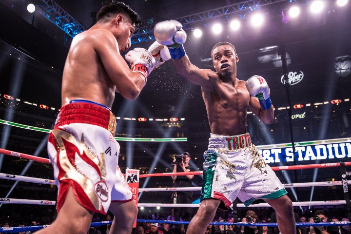 bivol-smith (3)_1.jpg
