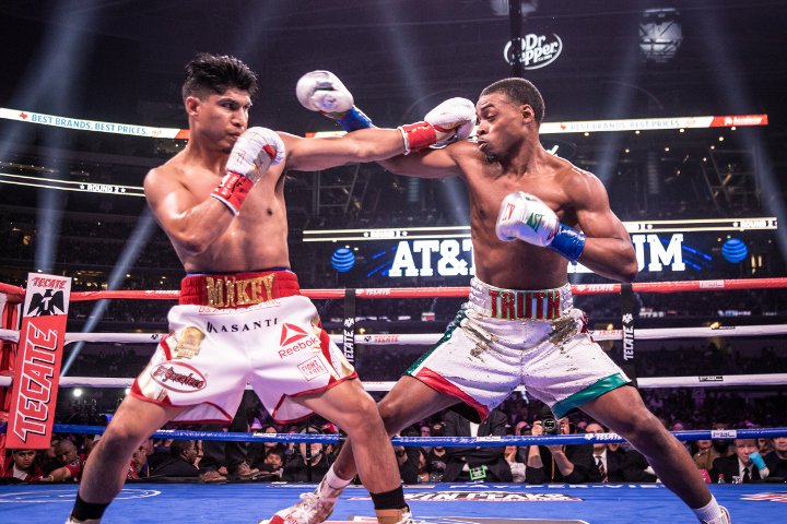 bivol-smith (4)_1.jpg