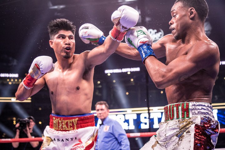 bivol-smith (7).jpg