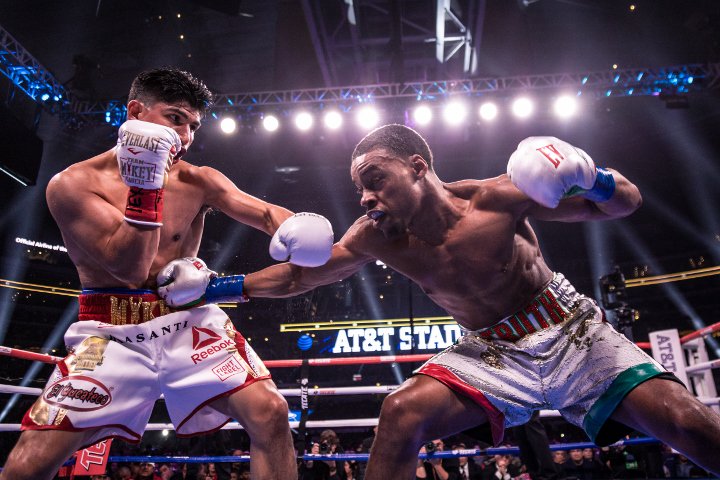 bivol-smith (9).jpg