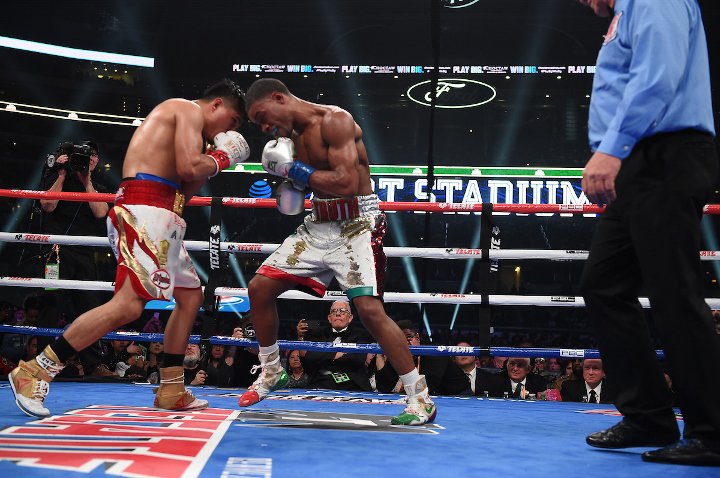 gennady-golovkin (10)_6.jpg