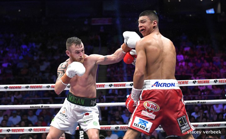 munguia-hogan-fight (5).jpg