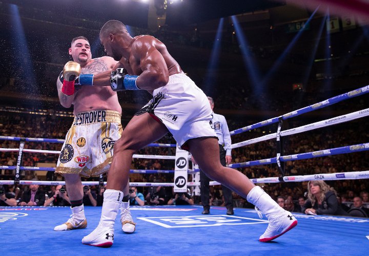 canelo-alvarez (8)_21.jpg
