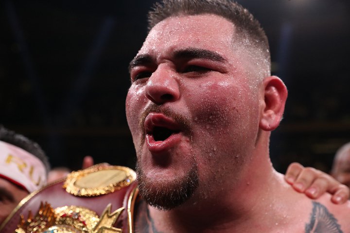joshua-andy-ruiz-fight (15).jpg