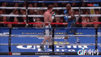 D2A3DF0C-D078-4F60-A3ED-7567E99FEFA3.gif