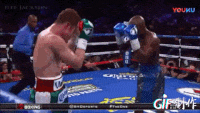 8603CF16-A57B-4A80-A710-C0618E7E860D.gif