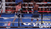 D3F11E76-146F-4B5F-B724-72B7BD7B9774.gif