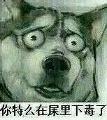 9602be5494eef01f58b0f35fe2fe9925bd317d15.jpg