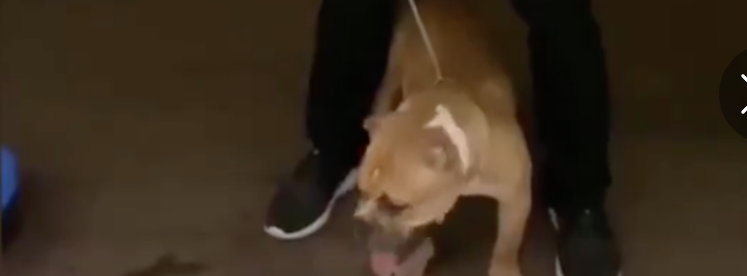 2345ͼ20190821085127.png