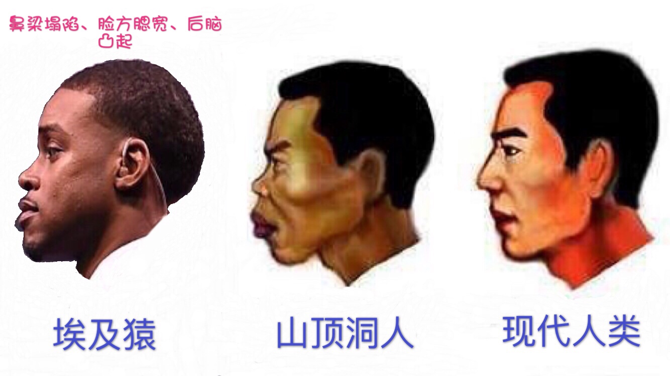 5BC3C7C4-F367-458F-94E9-5A82B4FED6F8.jpeg